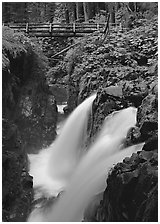 Sol Duc falls and wooden footbridge. Olympic National Park ( black and white)