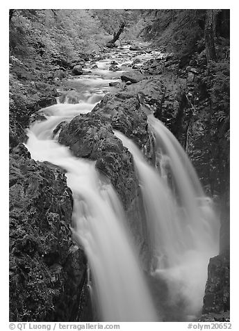Soleduc falls. Olympic National Park (black and white)