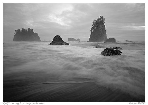 Seastacks, surf, and clouds, Second Beach. Olympic National Park (black and white)