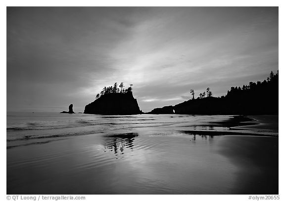 Seastacks reflected at sunset on wet sand, Second Beach. Olympic National Park, Washington, USA.