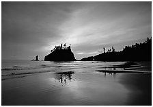 Seastacks reflected at sunset on wet sand, Second Beach. Olympic National Park ( black and white)