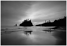 Seastacks reflected at sunset on wet sand, Second Beach. Olympic National Park, Washington, USA. (black and white)