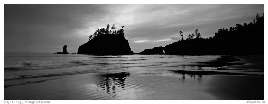 Second Beach with wet sand reflections. Olympic National Park (black and white)