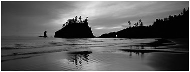 Second Beach with wet sand reflections. Olympic National Park (Panoramic black and white)