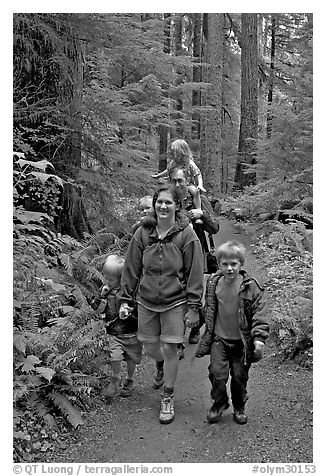 Family walking on forest trail. Olympic National Park, Washington, USA.