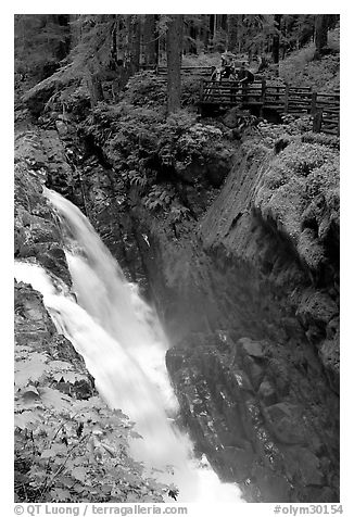 Sol Duc falls and observation platform. Olympic National Park, Washington, USA.