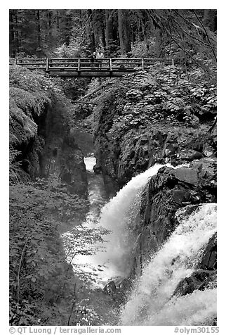 Sol Duc waterfall and bridge. Olympic National Park (black and white)