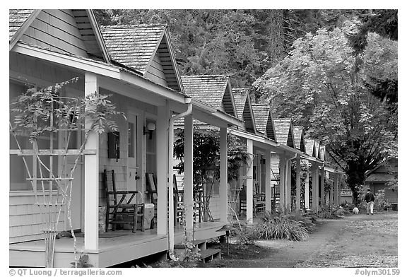 Cabins of Crescent Lake Lodge. Olympic National Park, Washington, USA.