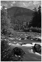 Elwha River. Olympic National Park ( black and white)