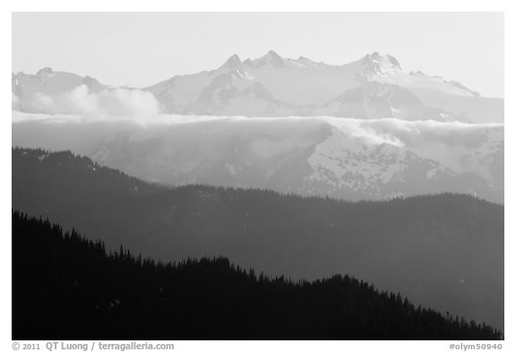 Olympic range and ridges. Olympic National Park, Washington, USA.