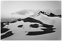 Neve on hill at dusk near Obstruction Point. Olympic National Park, Washington, USA. (black and white)