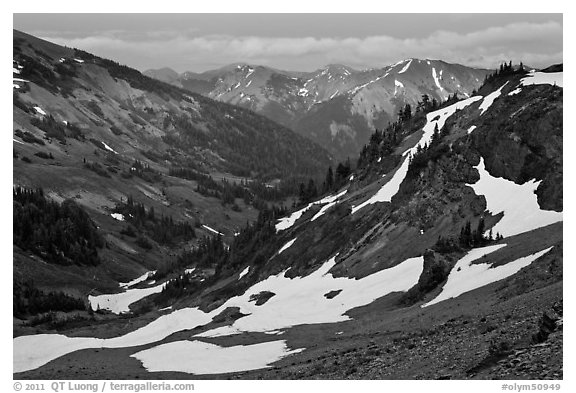 Badger Valley. Olympic National Park, Washington, USA.