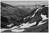 Badger Valley. Olympic National Park, Washington, USA. (black and white)