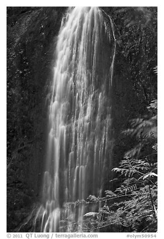 Marymere Falls, summer. Olympic National Park, Washington, USA.