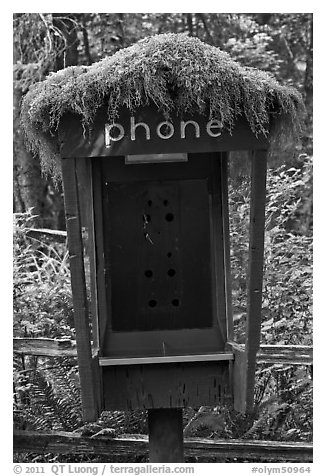 Phone booth covered by moss. Olympic National Park, Washington, USA.