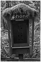 Phone booth covered by moss. Olympic National Park, Washington, USA. (black and white)