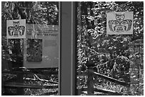 Rain forest, Hoh rain forest visitor center window reflexion. Olympic National Park ( black and white)