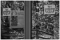 Rain forest, Hoh rain forest visitor center window reflexion. Olympic National Park, Washington, USA. (black and white)