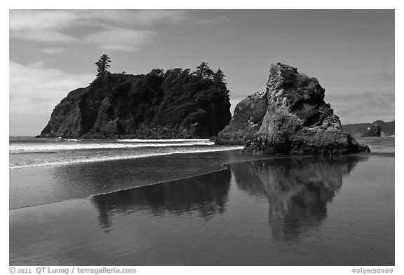 Sea stacks reflected on wet beach, Ruby Beach. Olympic National Park, Washington, USA.