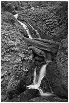 Merriman Falls. Olympic National Park, Washington, USA. (black and white)