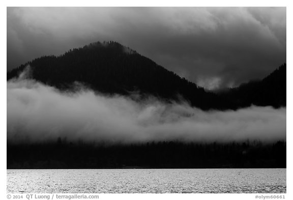 Fog hanging over shores of Lake Quinault. Olympic National Park (black and white)