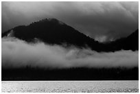 Fog hanging over shores of Lake Quinault. Olympic National Park ( black and white)