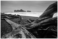 Driftwood and sea stacks in stormy weather, Rialto Beach. Olympic National Park ( black and white)