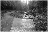 Sol Duc River interpretive sign. Olympic National Park ( black and white)