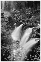 Sol Duc Falls and bridge in autumn. Olympic National Park ( black and white)