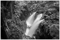Soleduc Falls, gorge, and footbridge in autumn. Olympic National Park ( black and white)