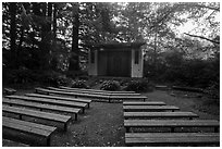 Amphitheater, Mora Campground. Olympic National Park ( black and white)