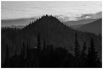Forest ridges, sea of clouds, and mountain goat. Olympic National Park ( black and white)