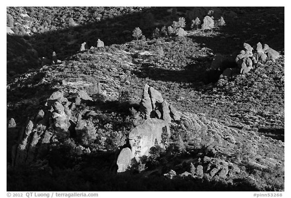 Rock formations and chaparral. Pinnacles National Park (black and white)