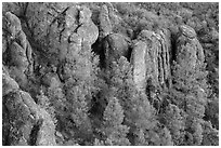 Rhyolitic rocks amongst pine trees. Pinnacles National Park, California, USA. (black and white)