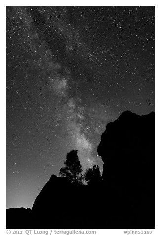 Rocks and pine trees profiled against starry sky with Milky Way. Pinnacles National Park (black and white)