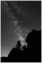 Rocks and pine trees profiled against starry sky with Milky Way. Pinnacles National Park, California, USA. (black and white)