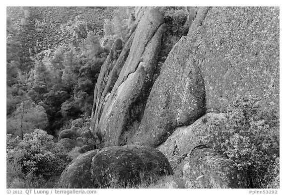 Rhyolite Cliff. Pinnacles National Park (black and white)