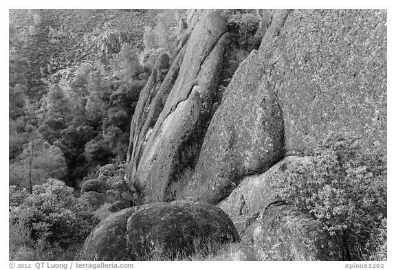 Rhyolite Cliff. Pinnacles National Park (black and white)
