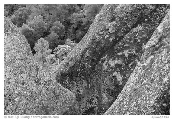 Lichen-covered volcanic rock finns. Pinnacles National Park (black and white)