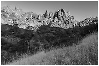 Summer grasses and pinnacles, early morning. Pinnacles National Park, California, USA. (black and white)
