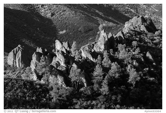 Pine trees and pinnacles. Pinnacles National Park (black and white)