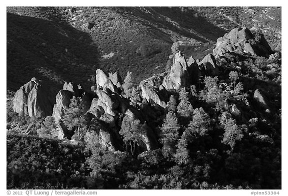 Pine trees and pinnacles. Pinnacles National Park, California, USA.