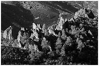 Pine trees and pinnacles. Pinnacles National Park, California, USA. (black and white)