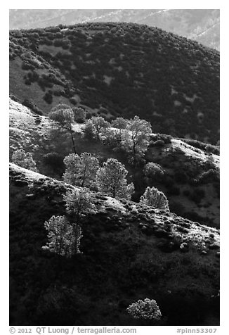 Ridges of rolling hills. Pinnacles National Park (black and white)
