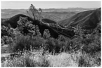 Summer grasses and rolling hills. Pinnacles National Park, California, USA. (black and white)