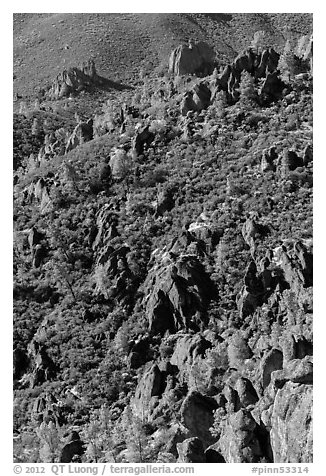 Slope with mediterranean chaparral and rock towers. Pinnacles National Park, California, USA.