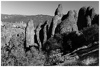 Rhyolite spires. Pinnacles National Park, California, USA. (black and white)