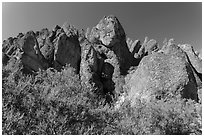 Rhyolite pinnalces. Pinnacles National Park, California, USA. (black and white)