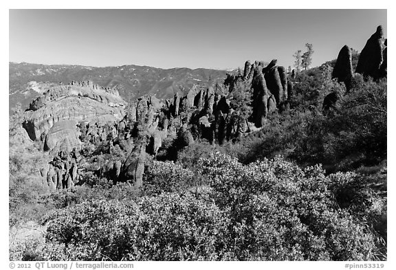 Chaparral and spires. Pinnacles National Park, California, USA.