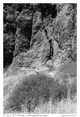 Dried wildflowers and colorful section of rock wall. Pinnacles National Park, California, USA.